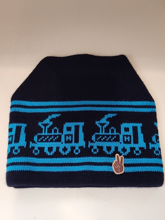 Seger Other - Seger Navy Blue & Turquoise Train Knit Beanie~NEW
